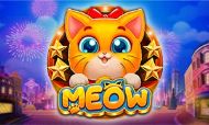 meow
